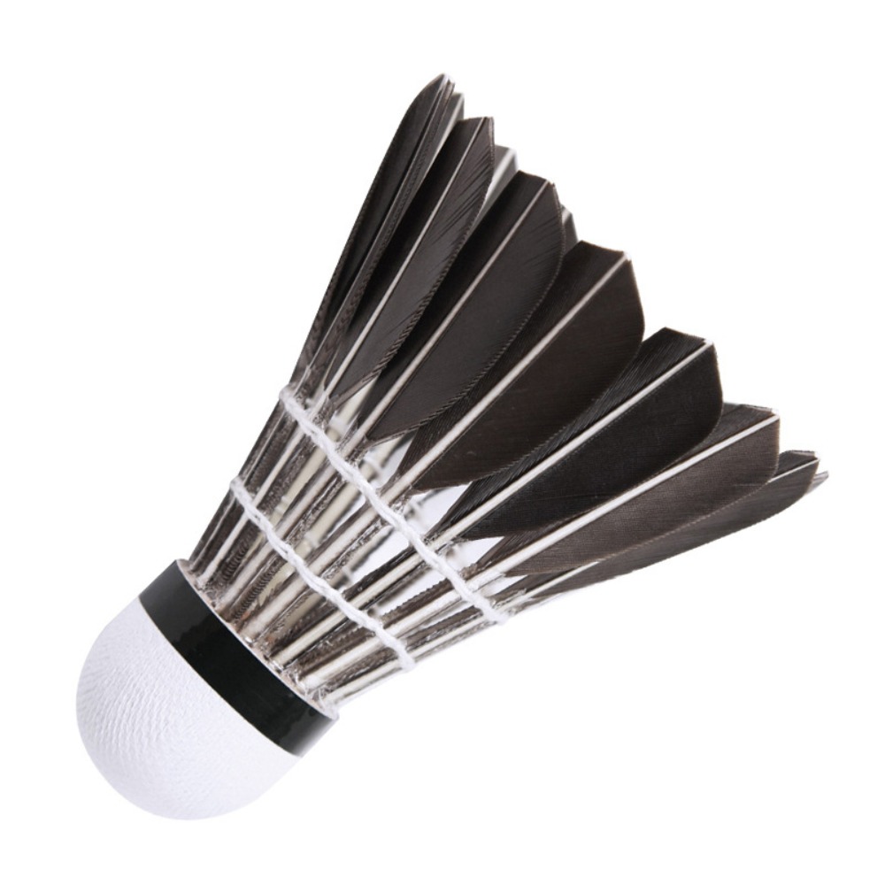 Professional Badminton Shuttle - đánh giá và giá Badminton Nylon Shuttlecock