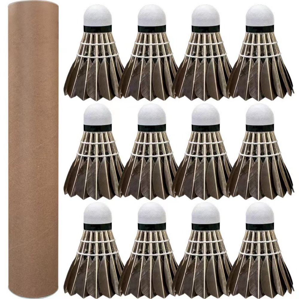 Professional Badminton Shuttle - đánh giá và giá Badminton Nylon Shuttlecock