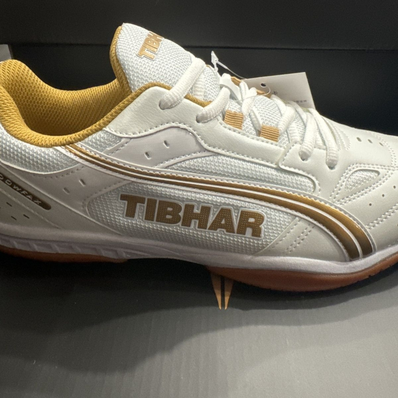 Classic Brand Table Tennis Sho - đánh giá và giá Shoe Non Slip Badminton