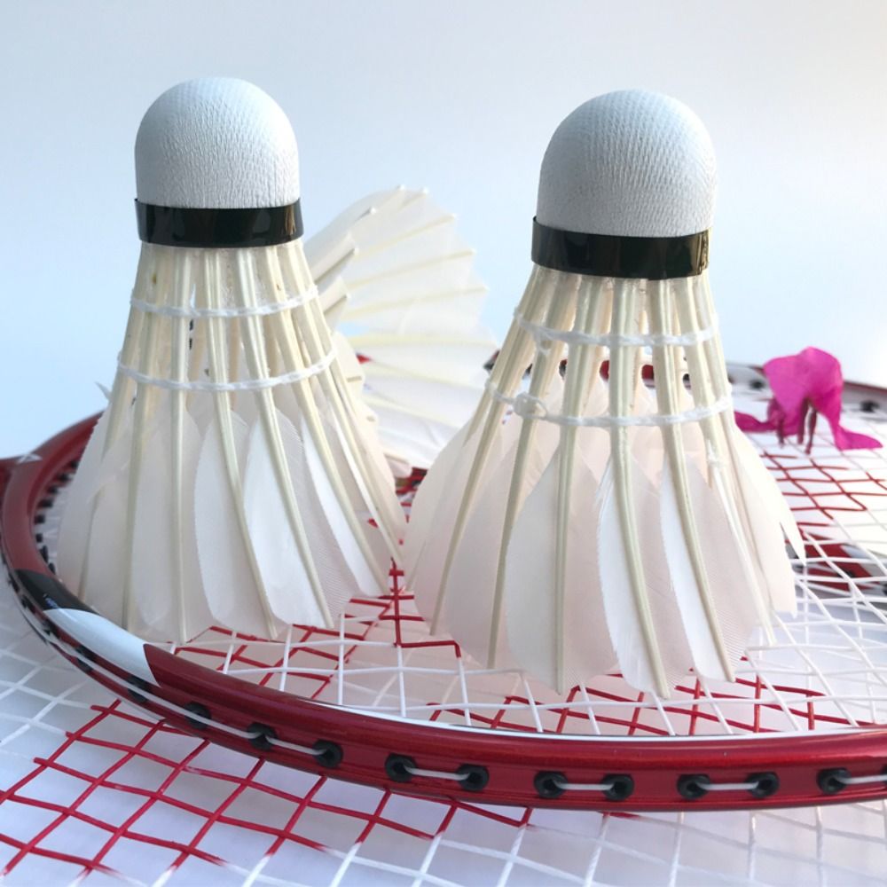 3/6/12Pcs Professional Badmint - đánh giá và giá Badminton Nylon Shuttlecock