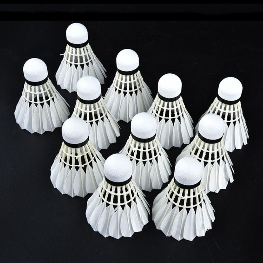 3/6/12Pcs Professional Badmint - đánh giá và giá Badminton Nylon Shuttlecock